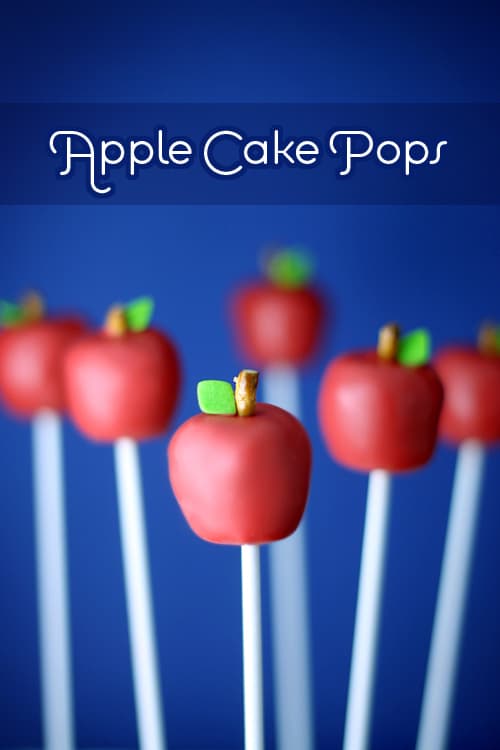 Bakerella has done it again creating these equally cute and yummy cake pops Bakerella has done it again creating these equally cute and yummy cake pops