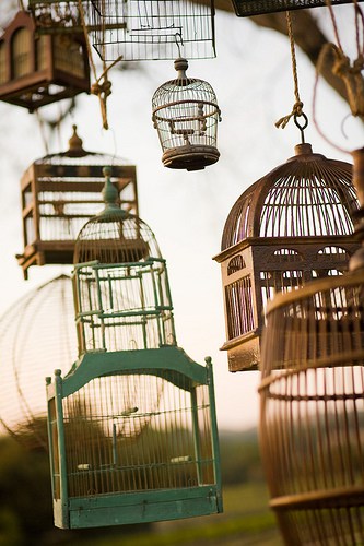 I can see decorating with birdcages for weddings bridal showers and even