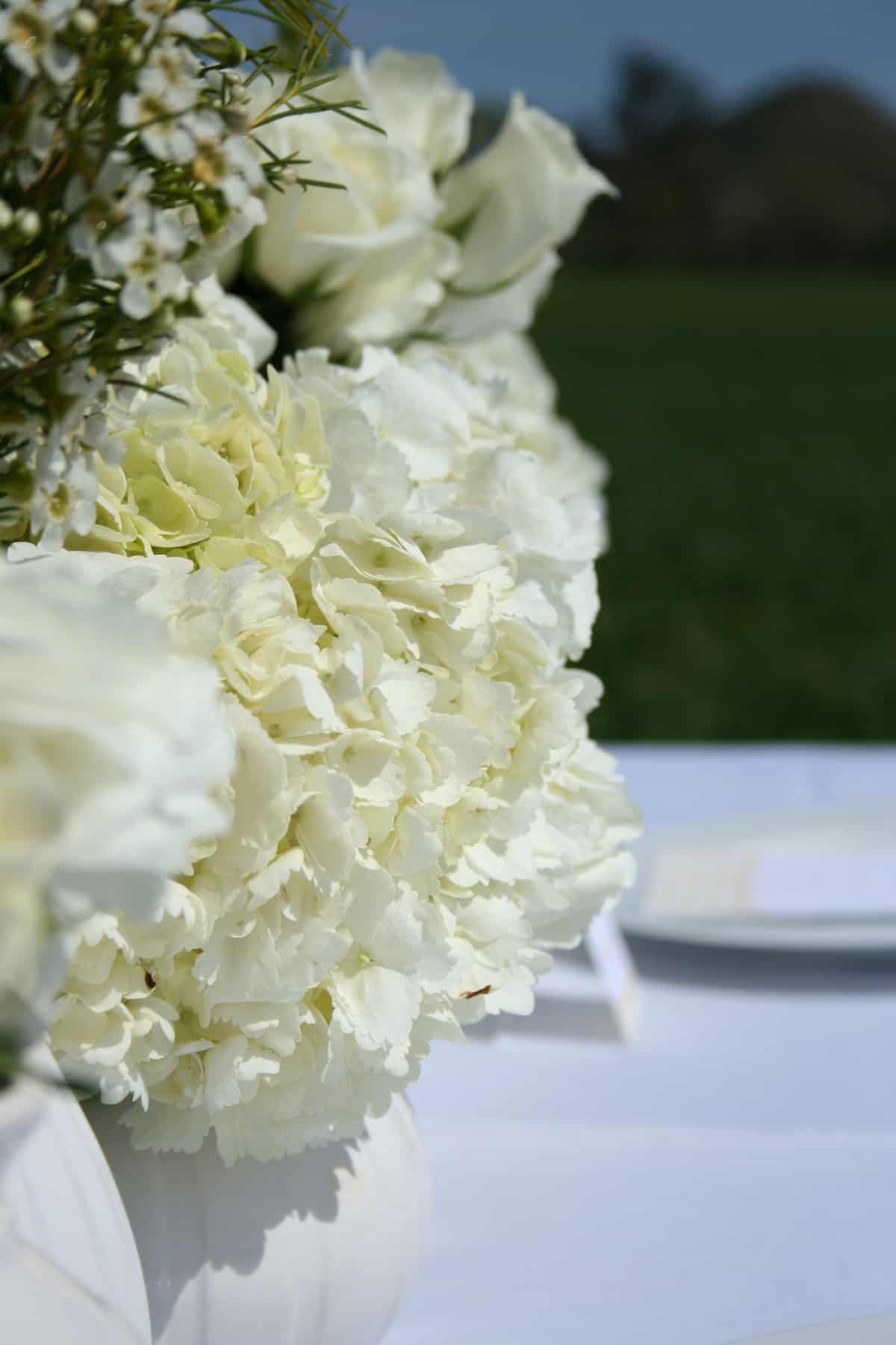 white wedding flowers white wedding flowers